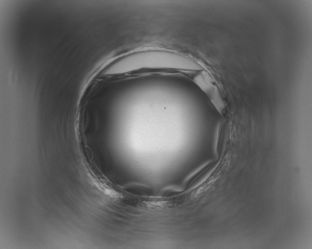 X0000071900152200608041352