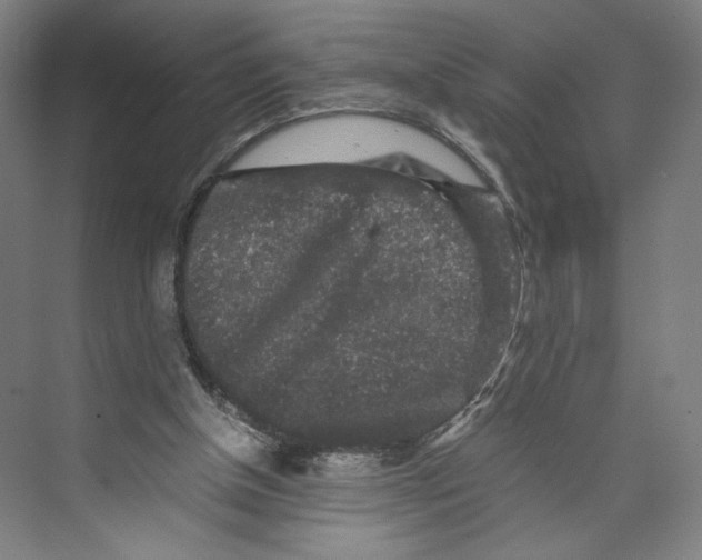 X0000071900154200608041352