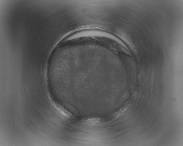 X0000071900156200608041352