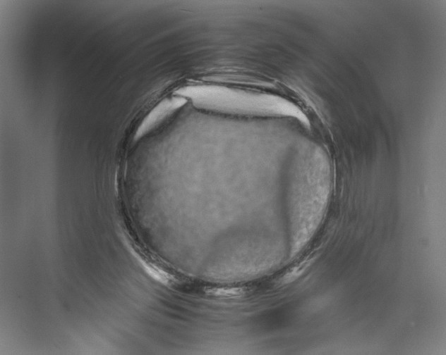 X0000071900157200608041352