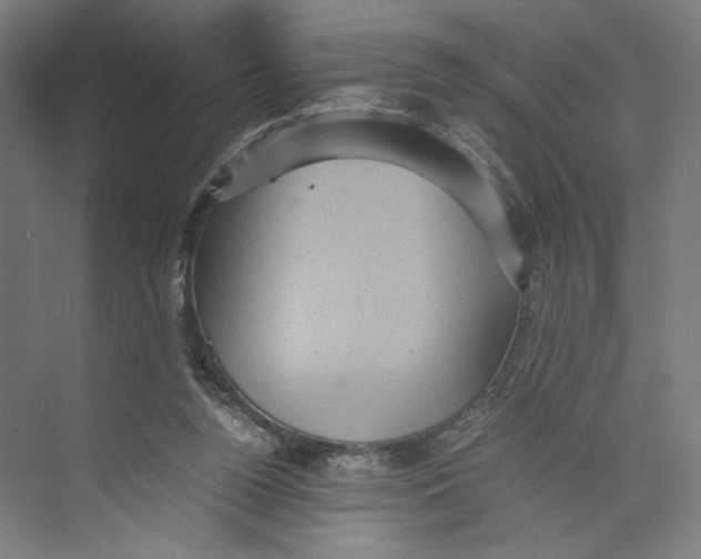 X0000071900160200608041352