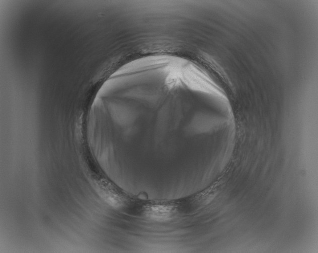 X0000071900163200608041352