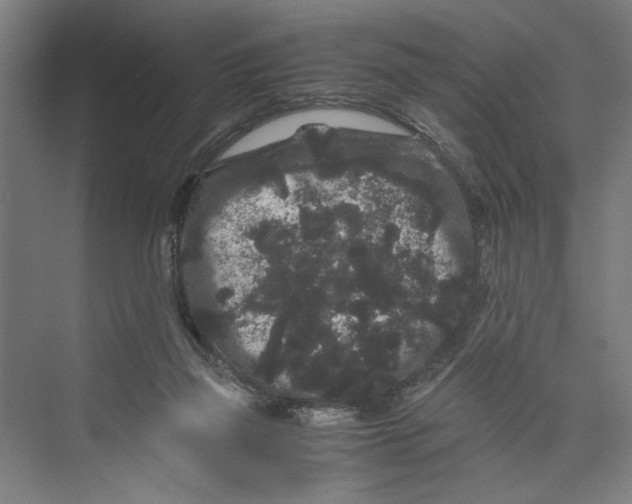 X0000071900165200608041352