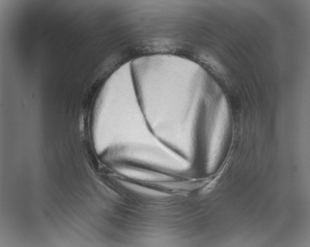 X0000071900166200608041352