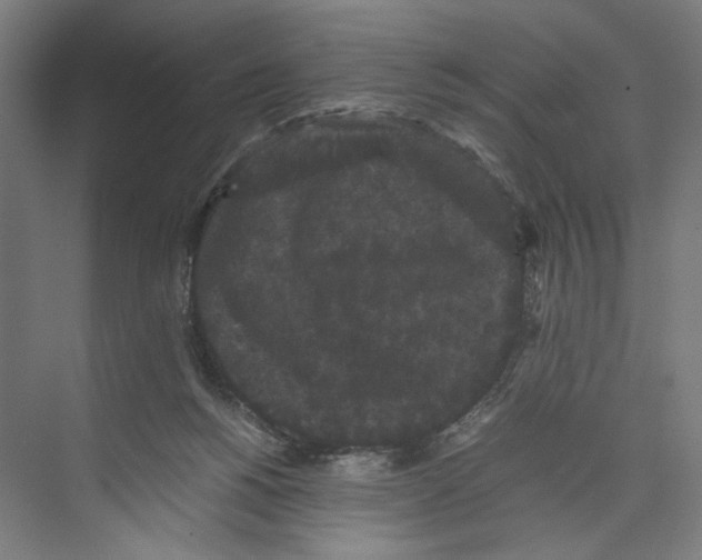 X0000071900168200608041352