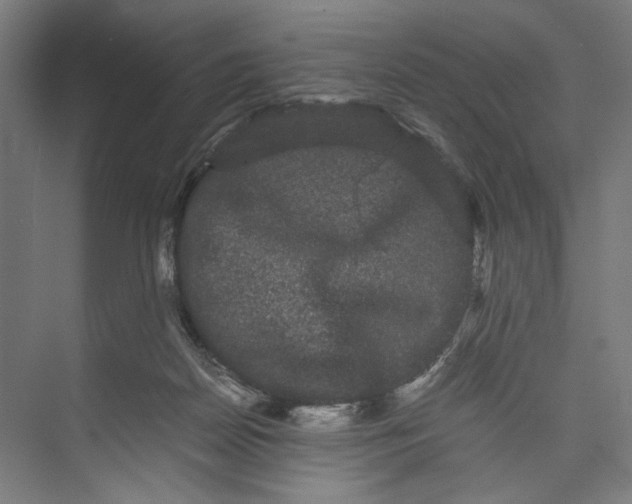 X0000071900170200608041352