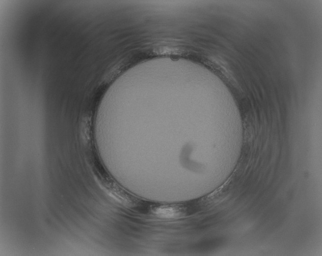 X0000071900171200608041352