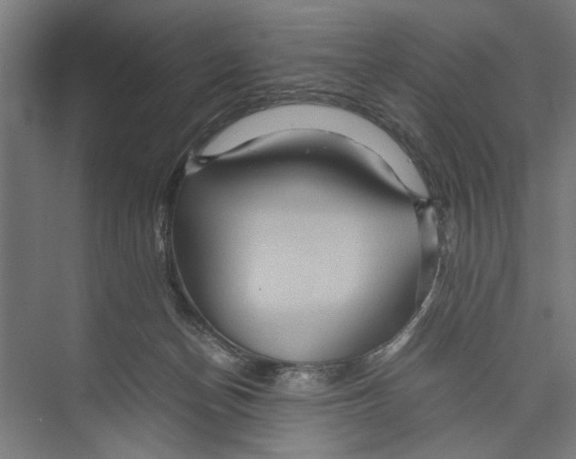 X0000071900174200608041352