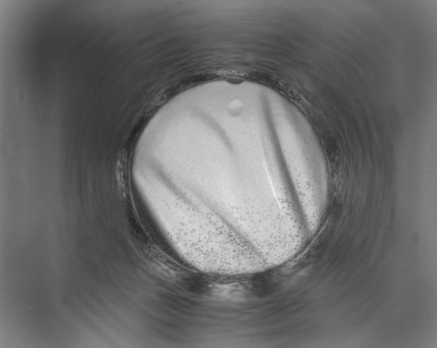 X0000071900175200608041352