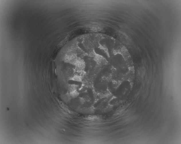 X0000071900177200608041352