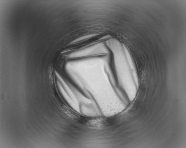 X0000071900178200608041352