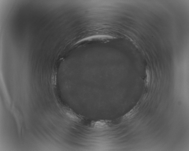 X0000071900180200608041352