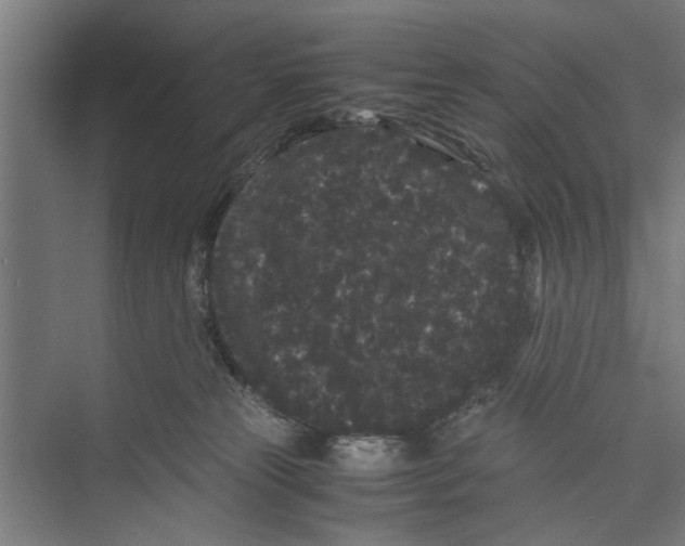 X0000071900181200608041352