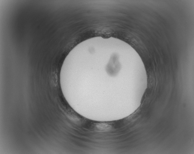 X0000071900183200608041352