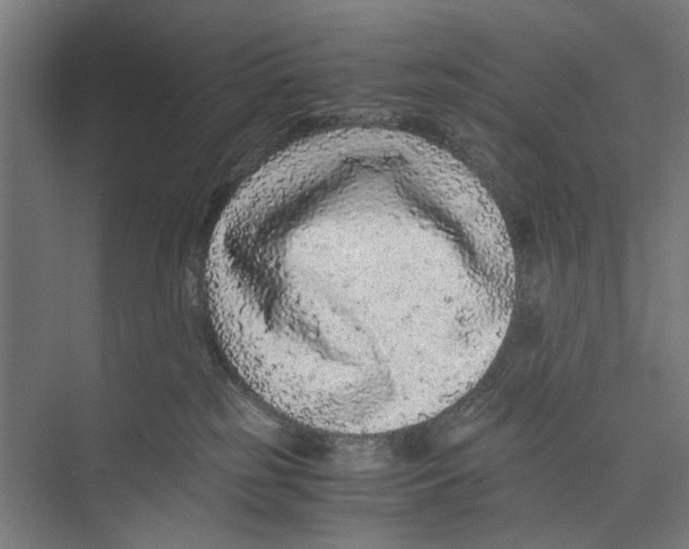 X0000071900185200608041352