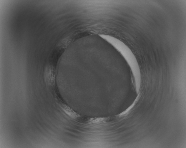 X0000071900186200608041352