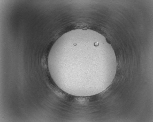 X0000071900187200608041352