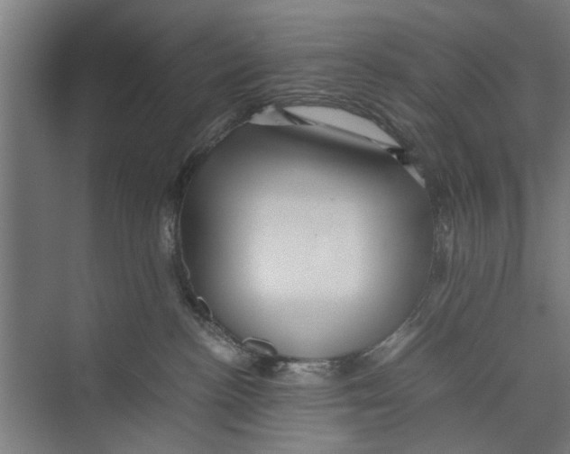 X0000071900188200608041352