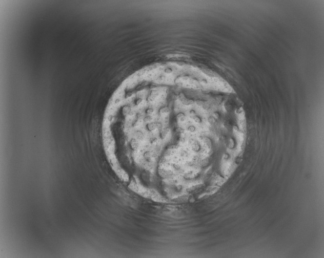 X0000071900189200608041352