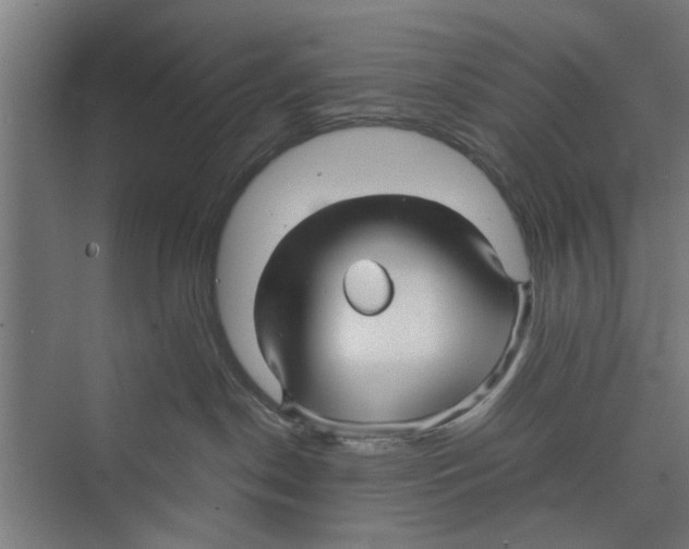 X0000071900190200608041352