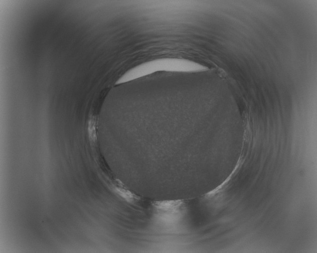 X0000071900191200608041352