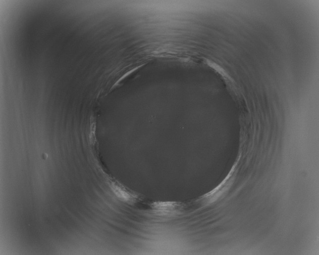 X0000071900192200608041352