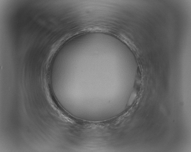 X0000071900193200608041352