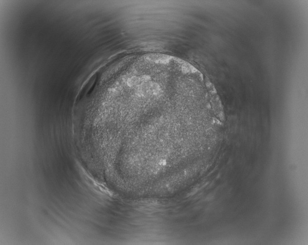 X0000071900194200608041352