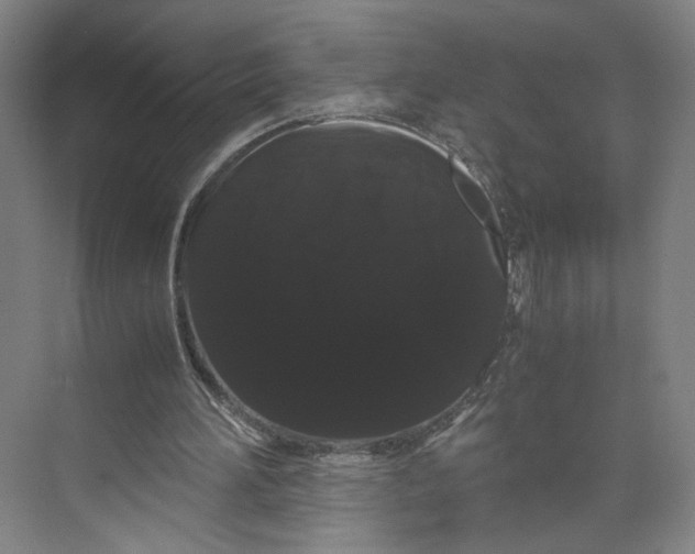 X0000071900196200608041351