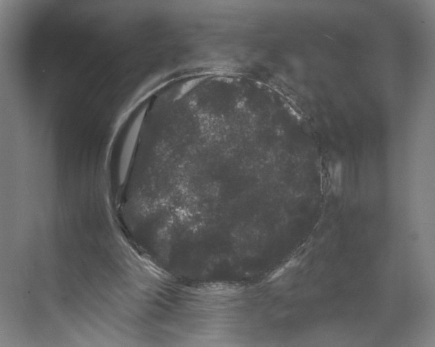 X0000071900198200608041351