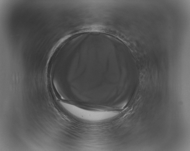 X0000071900200200608041351