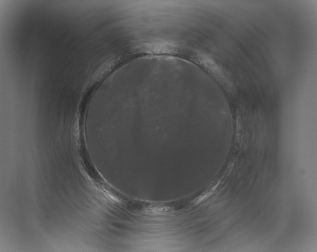 X0000071900202200608041351