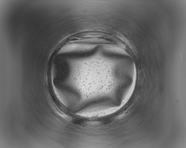 X0000071900203200608041351