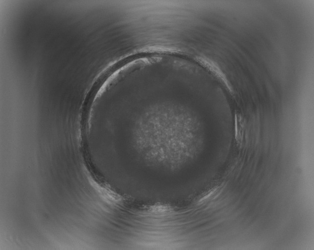 X0000071900204200608041351