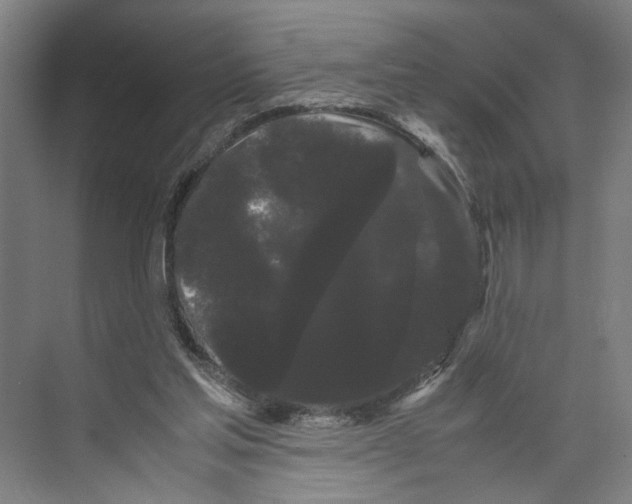 X0000071900205200608041351