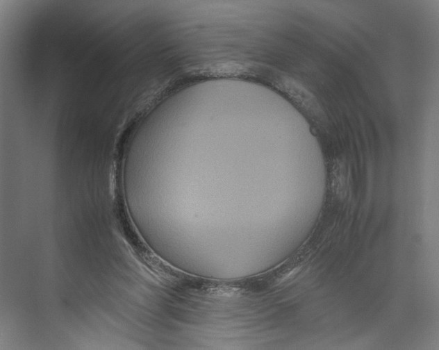 X0000071900206200608041351