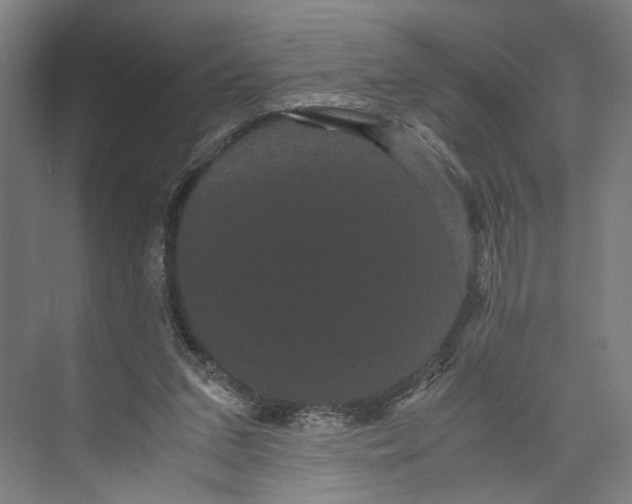 X0000071900207200608041351