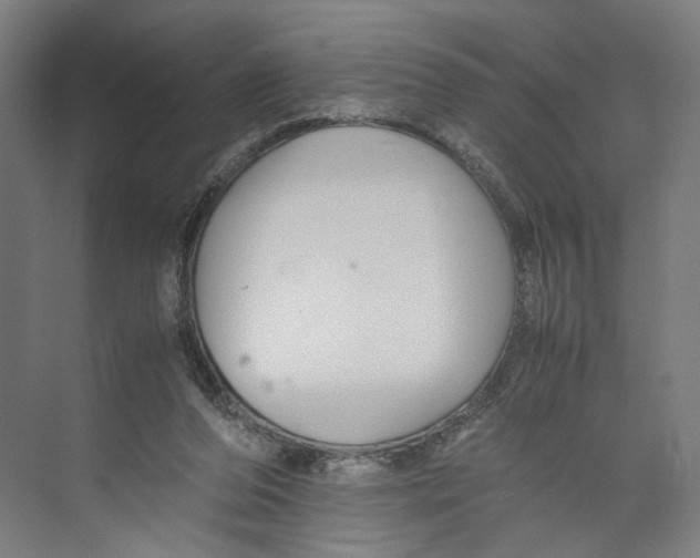 X0000071900208200608041351