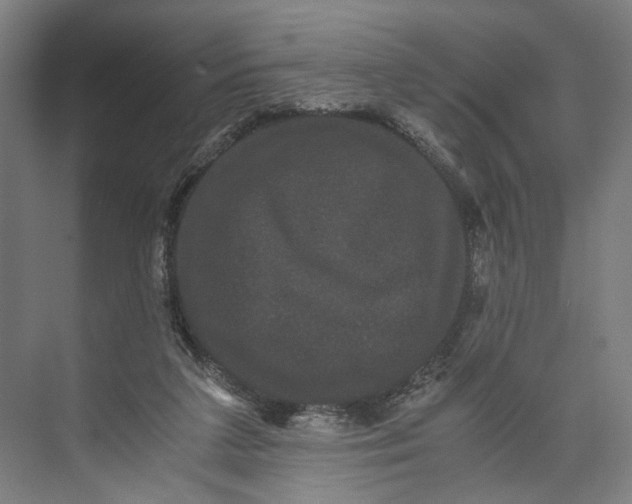 X0000071900211200608041351