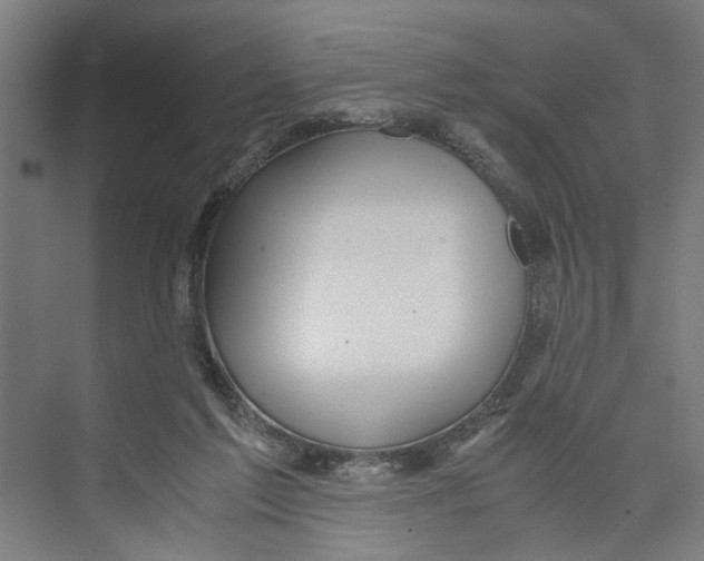 X0000071900213200608041351