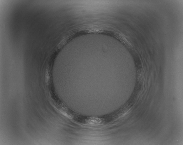 X0000071900215200608041351