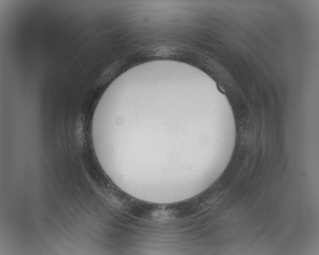 X0000071900216200608041351