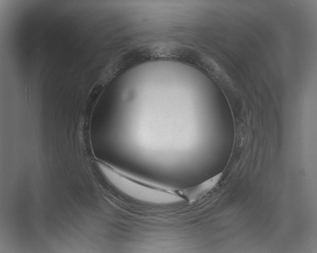 X0000071900217200608041351