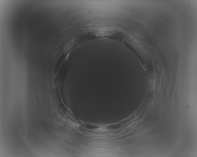 X0000071900219200608041351