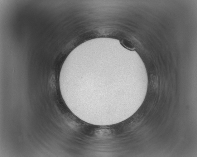 X0000071900220200608041351