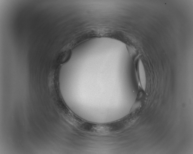 X0000071900221200608041351