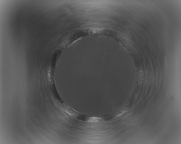 X0000071900222200608041351