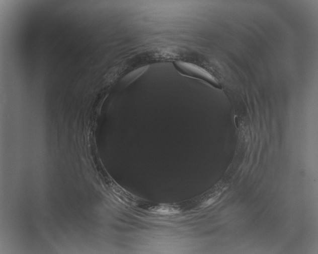 X0000071900223200608041351