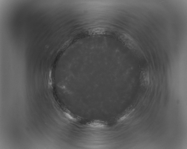 X0000071900224200608041351