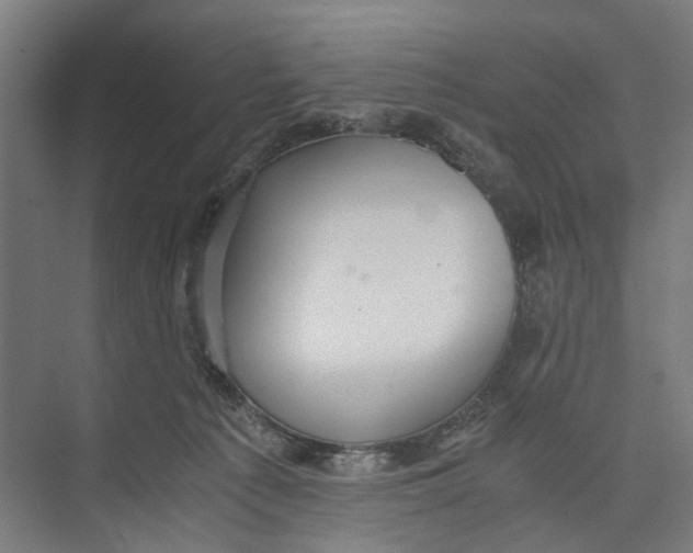 X0000071900225200608041351